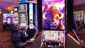 mmk11 ဂိမ်းလော်ဘီ Live Casino Baccarat Dragon Tiger Evolution Gaming မြန်မာကစားသမားဝင်ကစားနေသောပုံ